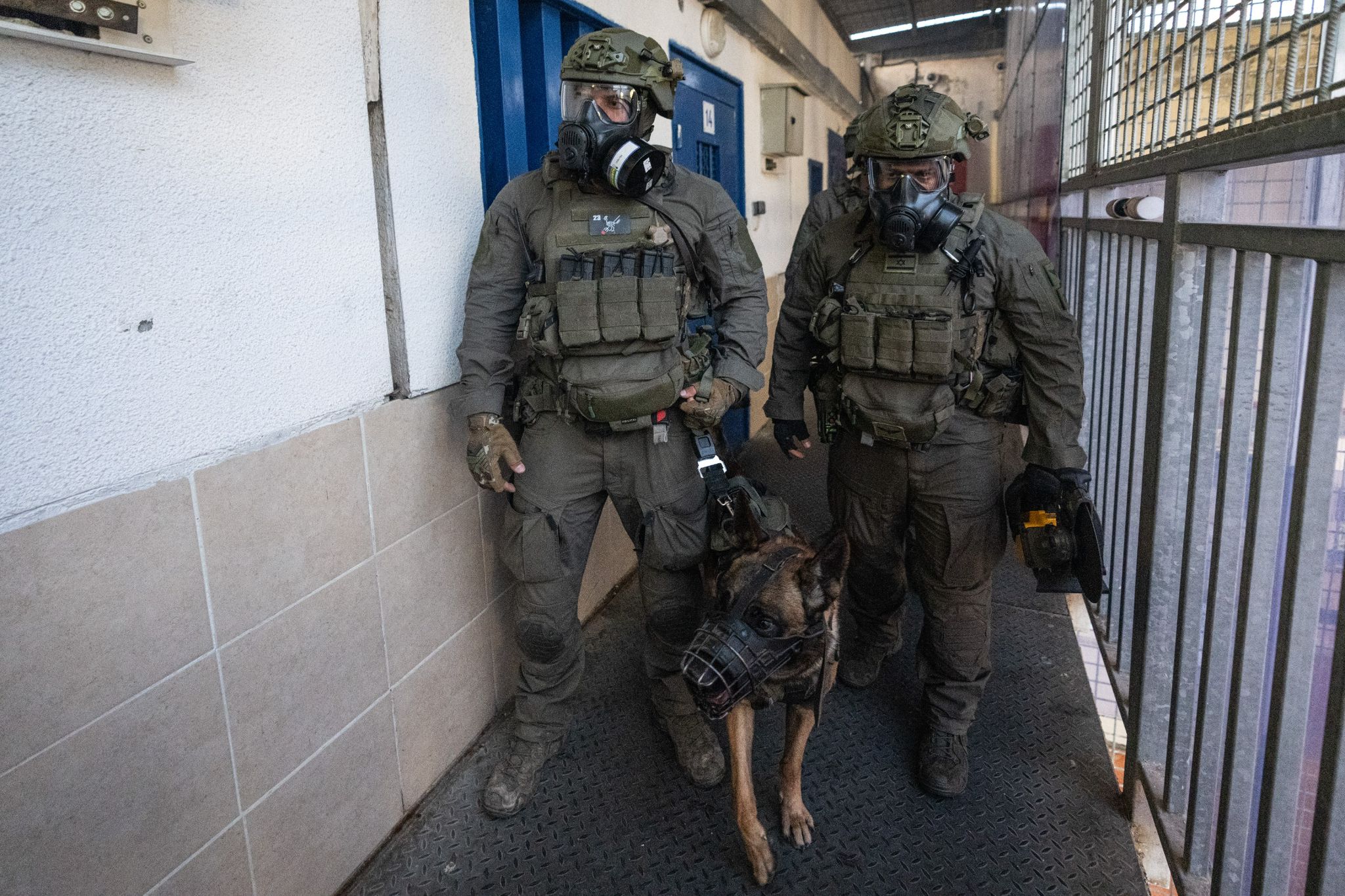 הפעילות בבתי הסוהר הביטחוניים