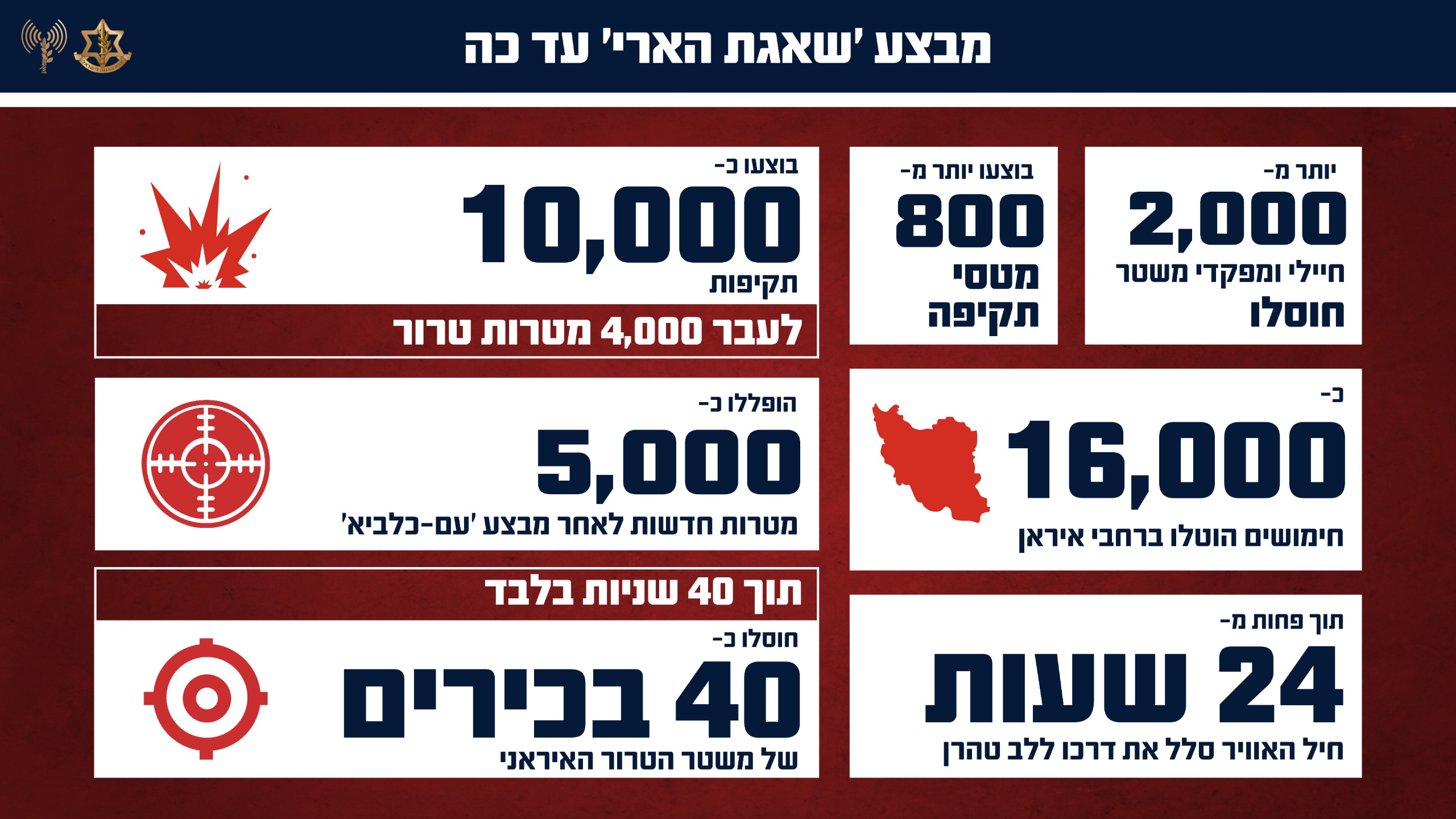 המספרים של מבצע שאגת הארי