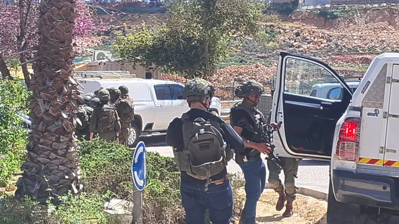 Поиски в Кирьят-Нетафим