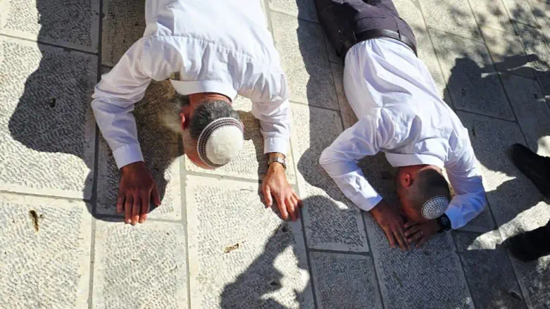 Депутат Кнессета Ицхак Кройзер и его отец на Храмовой горе צילום: ללא קרדיט