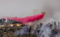 Израиль запросил помощь для борьбы с пожарами