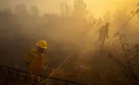 Снимки NASA пролили свет на лесной пожар под Иерусалимом