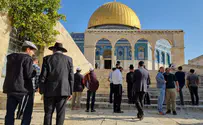 Шавуот на Храмовой горе: 754 еврея совершили восхождение