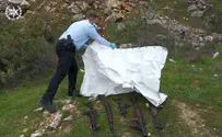 Арестованы бедуины, укравшие оружие из военного музея
