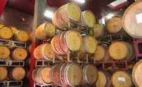 Канада разрешила этикетку “продукт Израиля” для вин Самарии