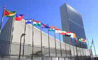 «Только 14 стран осудили террор! Мне стыдно за ООН»