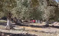 Иорданский ВАКФ сваливает мусор на Храмовой горе