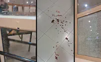 Террор в Кармеле: «Вдруг студент заметил, что он весь в крови»