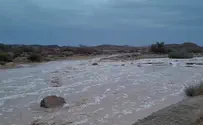 Наводнение в ручье Рамон. Видео 