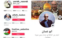 Ливанец в TikTok вербовал израильских арабов для терактов