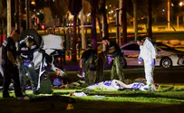 В результате наезда в Тель-Авиве погиб турист. Семеро ранены
