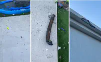 Фрагмент ракеты обнаружен в детском бассейне