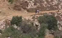 Палестинские геодезисты работают в Зоне C