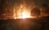 Пожар в Гуш-Эционе – результат намеренного поджога?