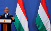 Новый закон взбудоражил Венгрию