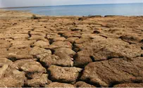 В Негеве объявлена засуха. Фермеры получат компенсации