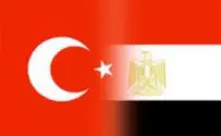 Египет объявил турецкого посла персоной нон-грата