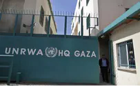 Газа против UNRWA: «Помощь – или медленная смерть!»