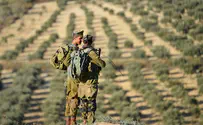 ЦАХАЛ отдал землю в Самарии палестинцам