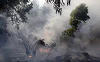 Израиль направляет пожарных на борьбу с огнем в Греции