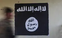 «Исламское государство» не стремиться нанести вред Израилю»