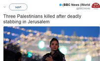«Вы имели ввиду, что была убита израильская полицейская?»
