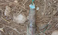 В израильском лесу обнаружено взрывное устройство из Газы