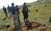 Арабы украли деревья из рощи памяти Ори Ансбахер