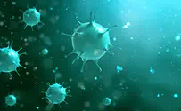 Три случая заражения индийской мутацией коронавируса в Израиле