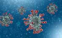 Новая мутация коронавируса в девять раз заразнее