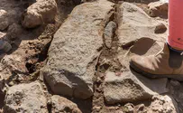 Древний межевой камень, возраст которого – более 1700 лет