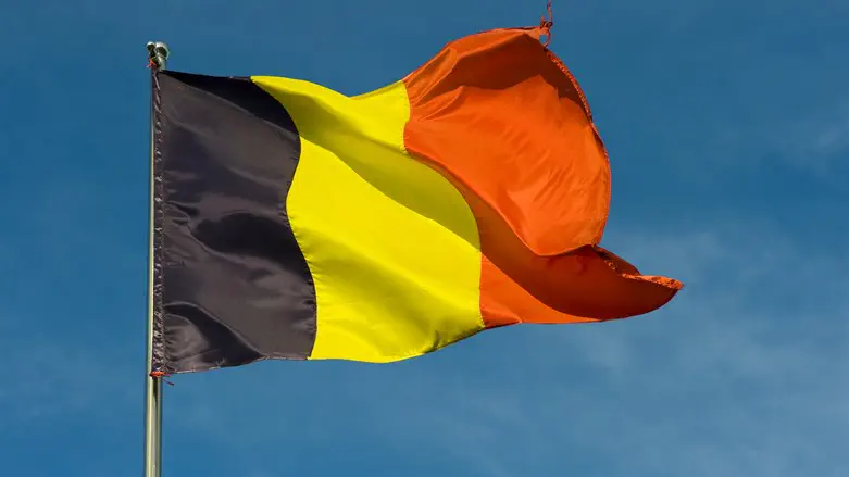 Флаг Бельгии. Иллюстрация